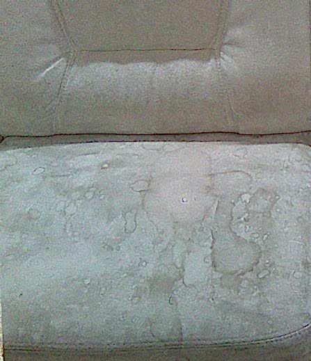 Химчистка кресел на дому