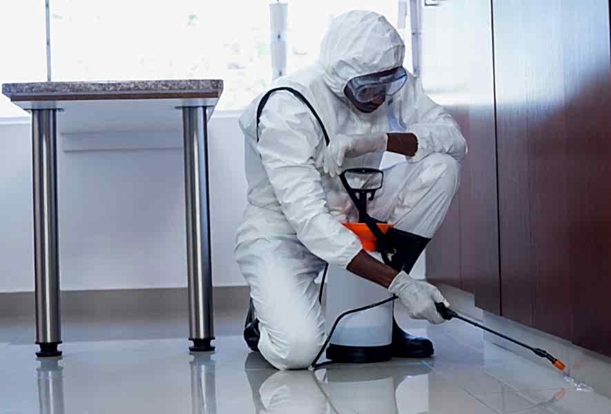 Дезинфекция от коронавируса Дезинфекция от коронавируса